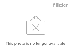 Zade Dirani's Concert